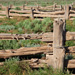 Post and rail fence, Mungo woolshed